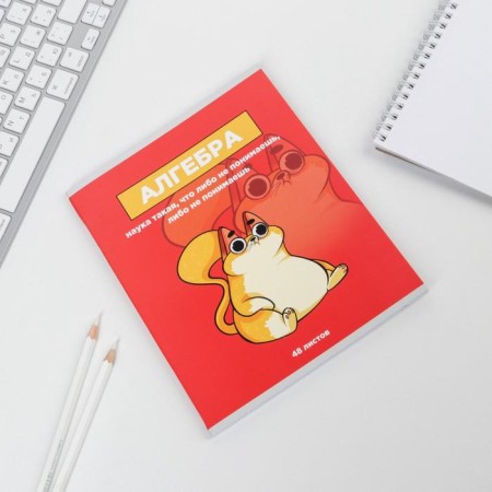 A notebook 48 sheets, A5, characters, with reference materials “September 1: Algebra”, cover coated cardboard 230 gr., Inner block in a cage 80 gr., Whiteness 96%-1