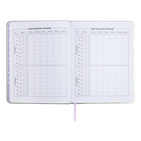 School diary for grades 1-11 "cat", firm covering with foam, artificial leather, application, foil embossing, liesse, 48 sheets, universal cheat sheet, block 80g/m2-7