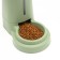 Auto feeder 3.8 liters, non -slip legs, green