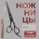 Hairdressers scissors with an emphasis “Premium”, bent rings, blade - 6.5 cm, black color