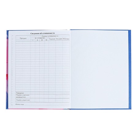 Diary for grades 5-11 "Shine!", Firm cover, glossy lamination, 48 sheets-8