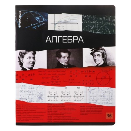 Subject notebook, 36 sheets, cage, algebra, Erichkrause "Timeline", coated cardboard, Blok Offset 100%, information block-1