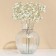 Vase "Snowflake" 19.5 x 15.6 cm