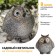 Lamp Garden era on the sunny battery "Owl Gray" LED, IP54