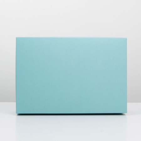 Gift folding box, packaging, Tiffany, 30 x 20 x 9 cm-4