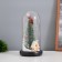 Summer Santa Clab and gingerbread luminaire 1.5W, LED, 3XAAA, Black USB 11x11x21cm