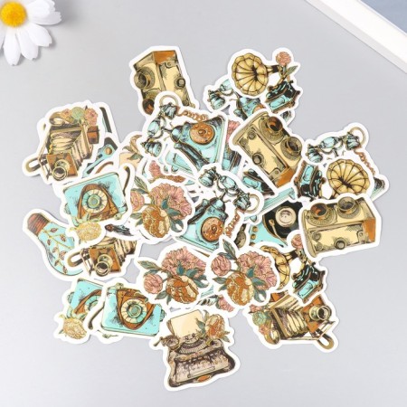 Stickers for creativity "Retro and flowers" embossing gold set 48 pcs 9x7x0.8 cm-2