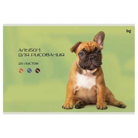 Album for drawing A4, 20 sheets "Dog and cat", cardboard cover, block 100 g/m2, mix-1