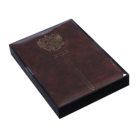 Dated 2025 diary, A5, 176 sheets of Escalada, solid cover of artificial leather, 3D design, foil, liescam embossing, cream block 70 g/m2, brown-15