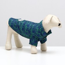 Dog jacket 