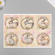 Decoupage map 