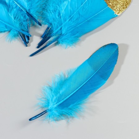 A set of goose feathers 15-20 cm, 10 pcs, blue with a golden crumb-3