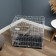 A cell for dogs and cats, a bunk 70 x 50 x 60 cm, white