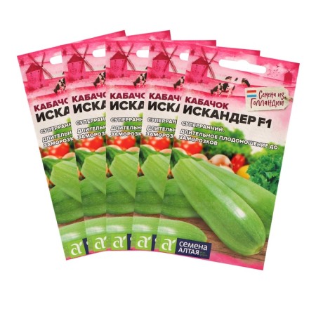 Semen zucchini "Iskander", f1, set 5 pcs