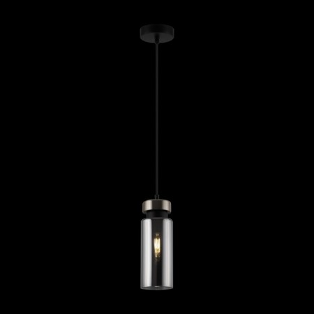 Suspension lamp Freya Come, E14, 1x40 W, 300x100x100 mm-3