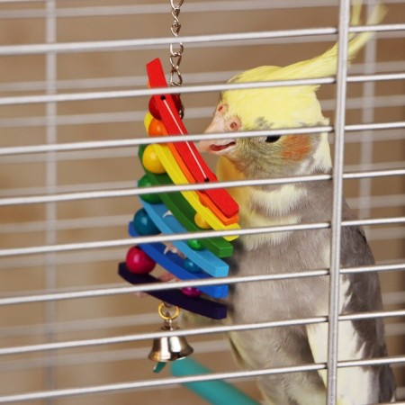 Toy for birds "Rainbow swing", mix