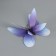 Magnet Plastic "Pilogo butterflies 2D" set 12 pcs