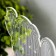 Light "Cactus" LED white 14x9.5x15 cm Risalux