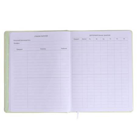 Universal diary for grade 1-11 Avocado Hug, solid cover, artificial leather, silkography, liesse, 80 g/m2-5