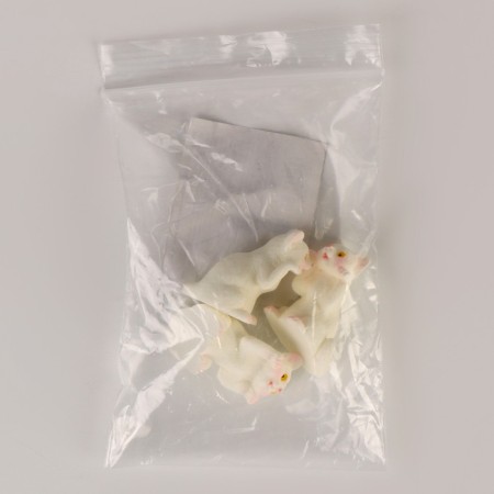 Miniature Puppet "Kit", set of 3 pcs., Size 1 pc. - 2 × 2 × 3.5 cm-5
