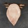 Suspended decor "Bull Head" 30x54x60cm