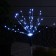 Garden lamp on the solar battery "Dandelion" 2 pcs., 78 cm, 160 LED, glow white glow