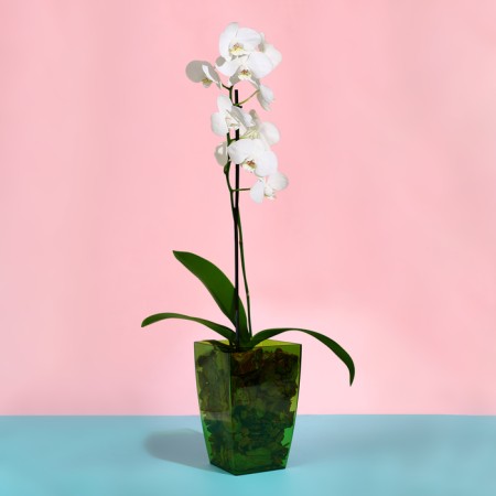 Pot for orchids, 2 l, 12.5 × 19.5 cm, plastic, transparent green-2