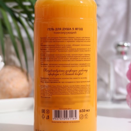 Soul Gel Vitamin Family "5 berries" Tonic, 650 ml-1