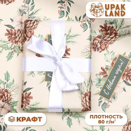 Paper packaging craft "cones", 1 sheet, 70 x 100 cm