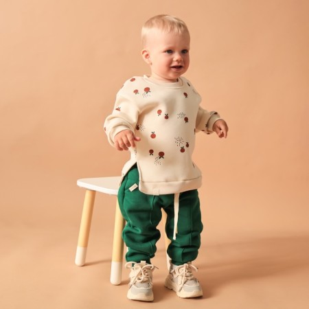 Costume: sweatshirt and pants crumb I am oranges r. 74-80, green-1