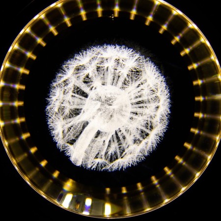 Light "Dandelion" LED 7W 4000 kzoloto 11x10x11-110cm Bayerlux-4