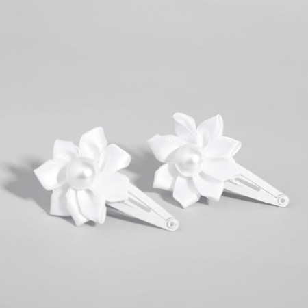 Hair hair clip, 2 pieces, Winx-1