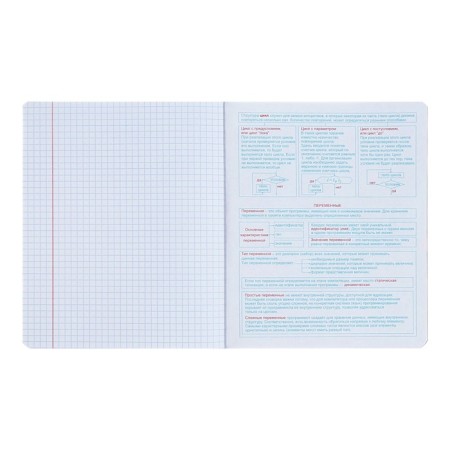 Notebook “World of the Future”, 48 sheets in a cage, “Informatics”, coated cardboard, metallized paint, an offset block-4