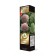 Hydrangea blizzard suite "Pearl of the festival" 1 pc, tube, spring 2025
