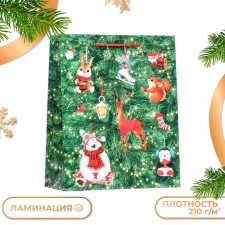 Gift package 