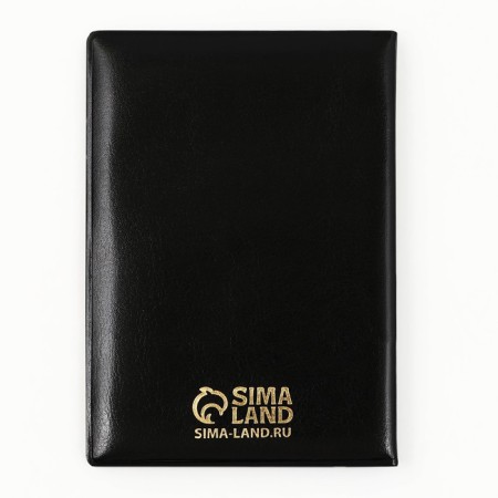 Cover for passport "Passport Russia", artificial leather-9