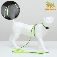 A set for cats is a reflective, width 1 cm, harness 21-35 cm, leash 120 cm, green