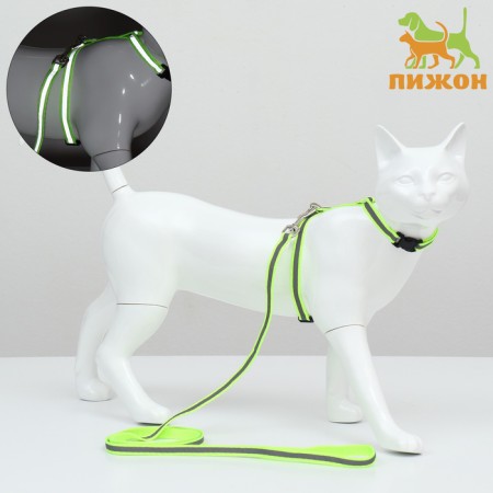 A set for cats is a reflective, width 1 cm, harness 21-35 cm, leash 120 cm, green
