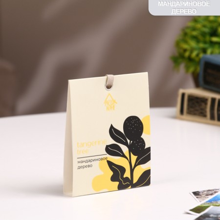 Sasha Aromatic mandarin tree 10 g