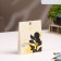 Sasha Aromatic mandarin tree 10 g