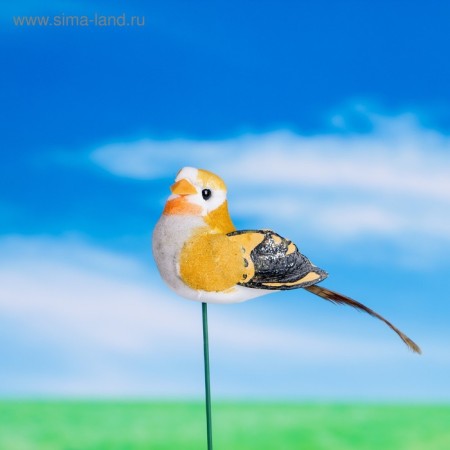 Plug for indoor plants "Bird" 3x3cm, 8cm mix / packing 12pcs, price per pcs-3