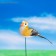 Plug for indoor plants "Bird" 3x3cm, 8cm mix / packing 12pcs, price per pcs