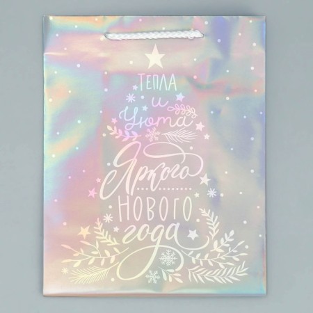 Holographic "heat" package, MS 18 x 23 x 10 cm, New Year-6