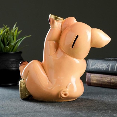 Pigger "Pig with coins" 19x21x13cm-2