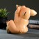 Pigger "Pig with coins" 19x21x13cm