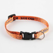 A collar for dogs and cats with Fasteks 