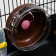 A cage for rodents "Pijon", with a filling of 47 x 30 x 27 cm, black