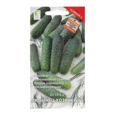 Seeds of cucumber 