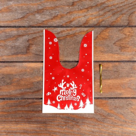 Gift package, 13 x 23 cm-1