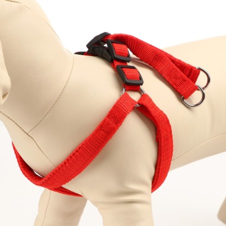 COMPORTS COLLECT COMBODY, 1.5 cm, Osh 36-50 cm, og 40-55 cm, red-2